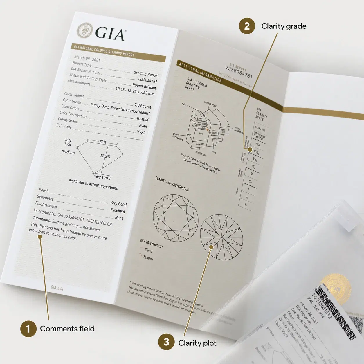 Illustrative GIA report with callouts for the Comments field, clarity grade and clarity plot.