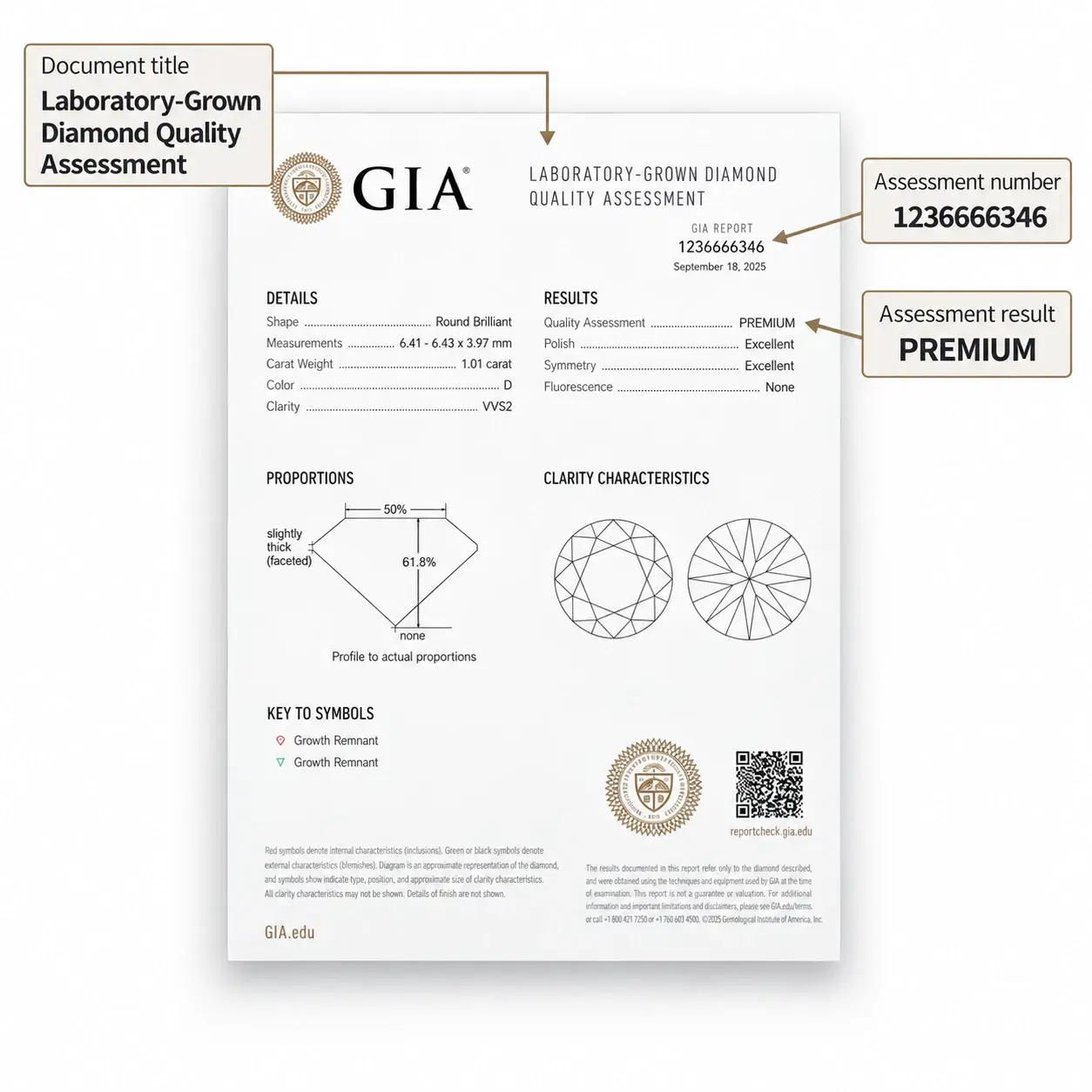 Illustrative GIA laboratory-grown diamond assessment sample with labelled fields.